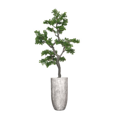 75" Artificial Faux Bonsai Tree | Real Touch Faux Bonsai Tree in a white wooden colored planter