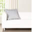Coussin Birch Lane-110360663-110360665