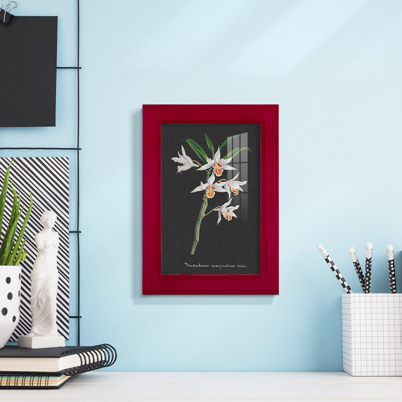 Orchidée sur ardoise IV - reproduction d'un seul cadre photo, Rouge, H 7 po x l 5 po x P 1 po