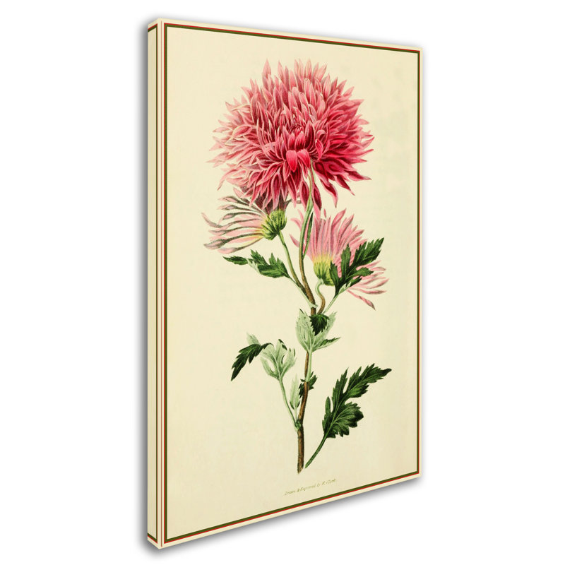 « dahlia », reproduction d’impression sur toile tendue, H 24 po x l 16 po