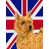 Norwich terrier (jaune) sélectionné