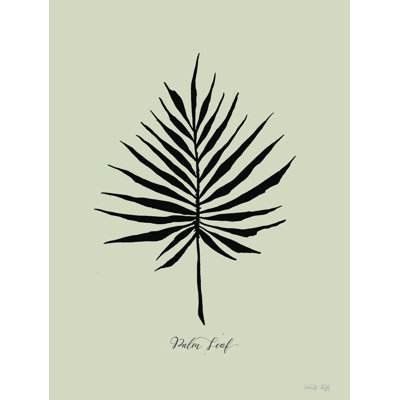 " Ebony Palm IV " by Cindy Jacobs
