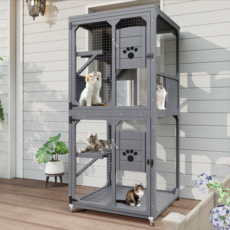 Fenêtre pour chat Catio