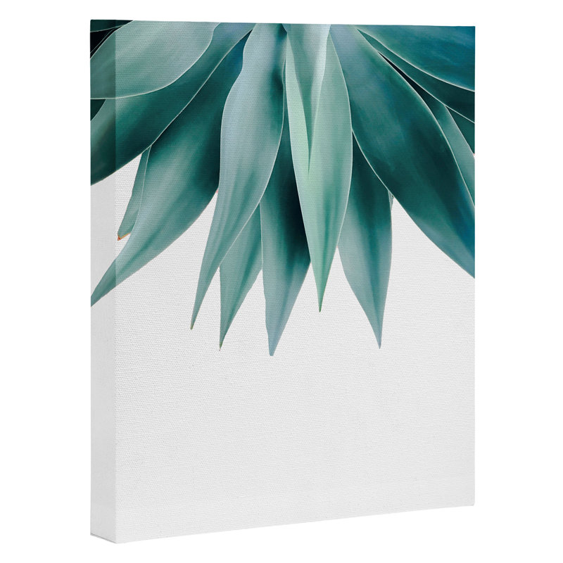 « agave frange », impression, Toile tendue, H 30 po x l 24 po x P 2 po, Pas de tapis