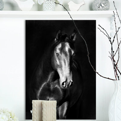 «Black Kladruby Horse Portrait in the Darkness», reproduction d'impression sur toile tendue