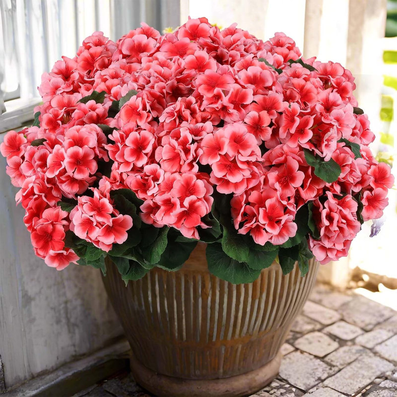 Arrangement