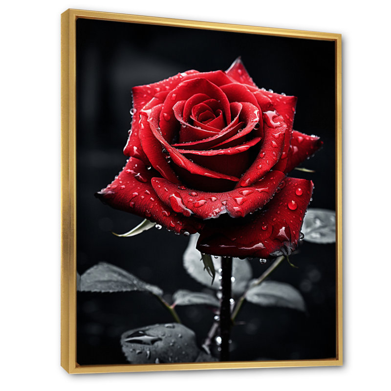«Daryle Red Black Rose Elegance II», reproduction sur toile, Cadre flottant doré, H 32 po x l 24 po x P 1 po