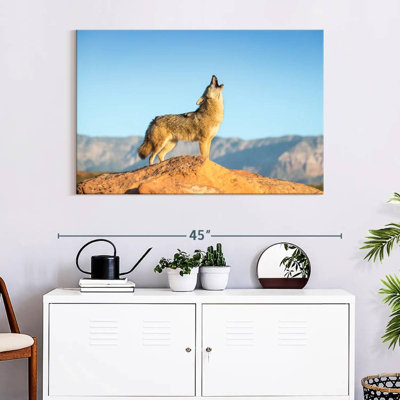 Howling Coyote