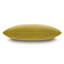 Capra Square Pillow Cover & Insert-65276272-125008346