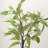 48.82'' Faux Eucalyptus Tree in Freestanding