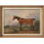 Encadré naturel sélectionné