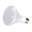 8.7 Watt LED Bulb