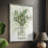 Delicate Greenery I Framed Print - Solid Wood 46945-711639632