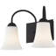 2 - Light Vanity Light