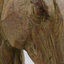Raphael HORSE HEAD 36cm Carved Wood Effect