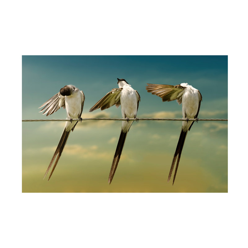 Chechi Peinado Fork Tailed Canvas Art, 30" H x 47" W