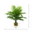 Rockwood Faux Palm Plant in Glass Vase