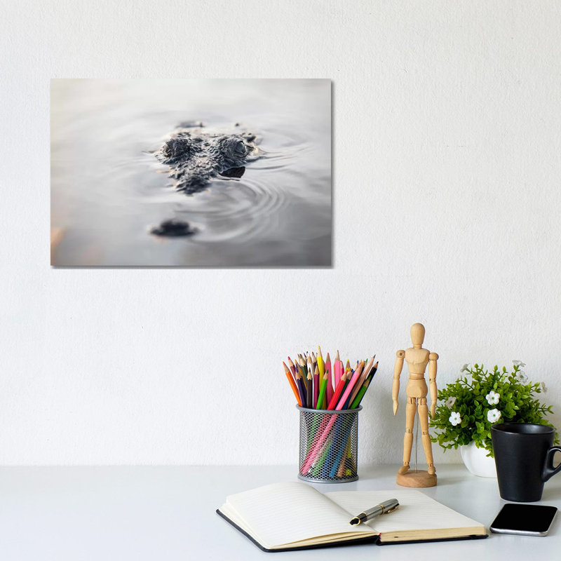 A Large American Crocodile Surfaces In A Lagoon by Ethan Daniels - Wrapped Canvas Print, 20.32 cm H x 30.48 cm W