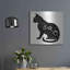 «Cat» par Cindy Jacobs-1684022608