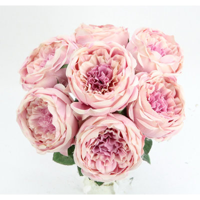 Buisson de roses en pleine floraison