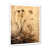 White Picture Framed