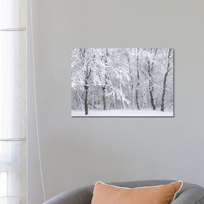 Snowstorm by Brian Wolf - Wrapped Canvas Print