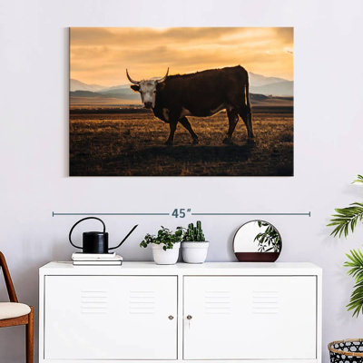 Brampt Looking Bull