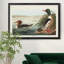 Goosander Duck - reproduction d'art sur toile-363645632-363645633