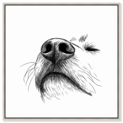 The Nose Knows Canvas Vintage Dog Drawings by Art Remedy