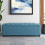 Banc de rangement avec repose-pieds Ayob-2018872680