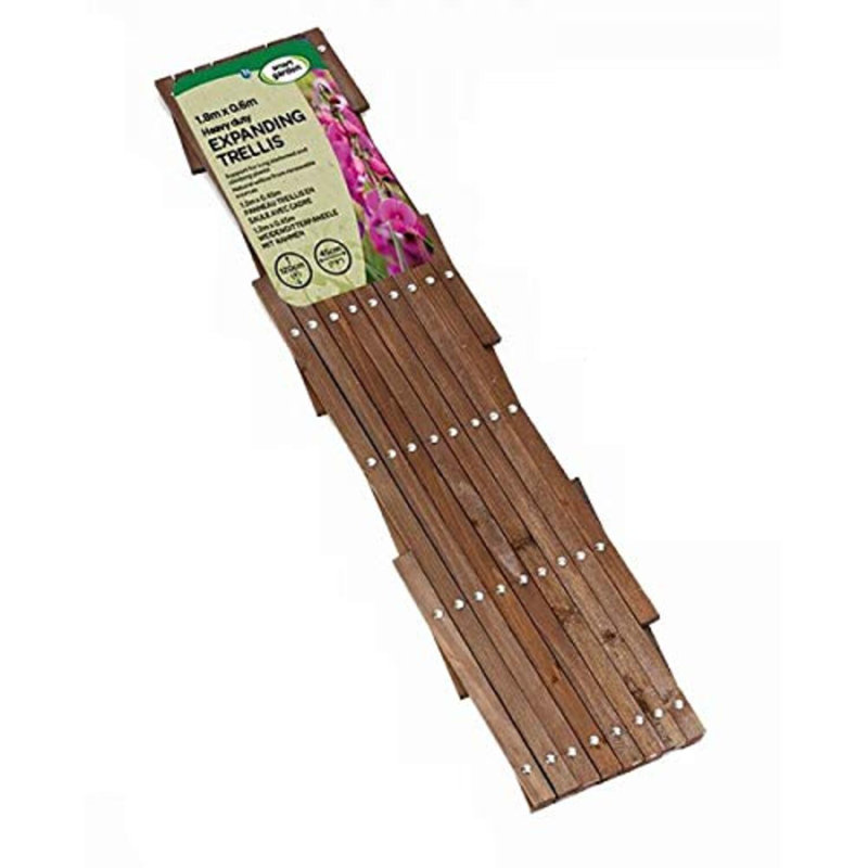 Buttonwillow 180cm H x 30cm W Wood Expanding Trellis