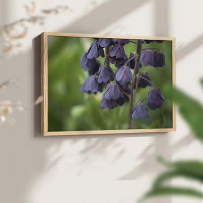 Aubergine -Framed Print - Restickable