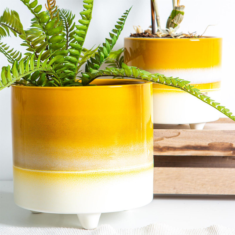 Ceramic Pot Planter, Yellow
