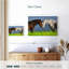 Couple de chevaux Hardie-106309014