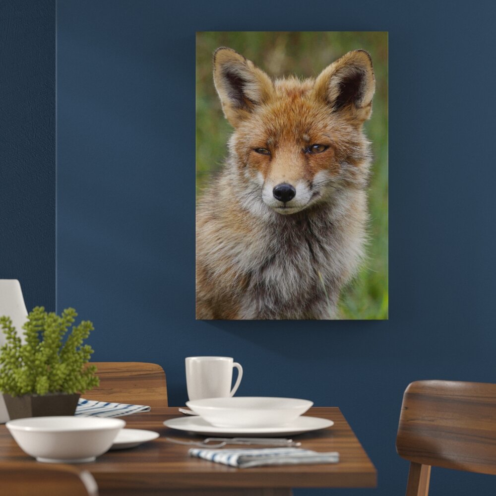 Leinwandbild „Schöner Fuchs" von martha de jong-lantink, Fotodruck