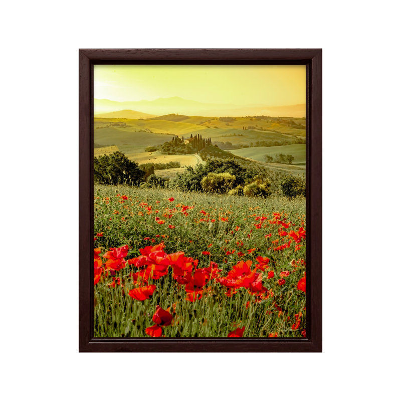 Fleur de coquelicot, Canvas, Brown Framed, 11"H x 14"W