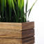 25 cm H Faux Onion Grass Plant