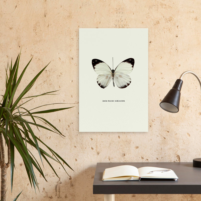 Papillon blanc - Art avec papillons, H 24 po x l 16 po
