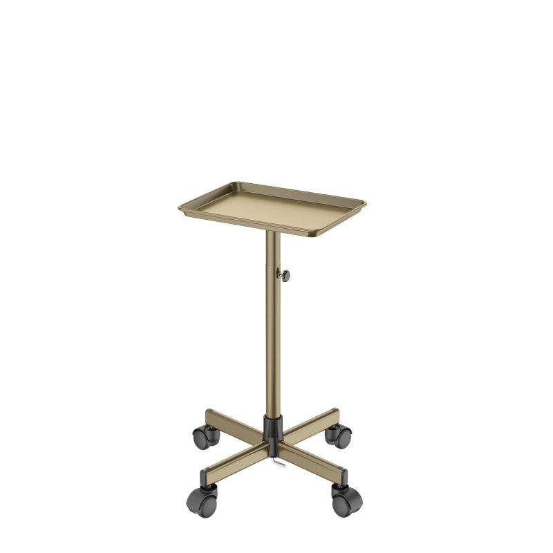 Chariot utilitaire pour chariot à tatouer Rolling Salon Tray