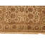 Wool Oriental Area Rug in Cream