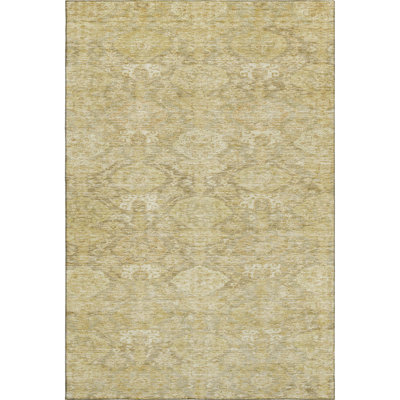 Premium Machine Washable Jamestown AMF1084 Damask Rug