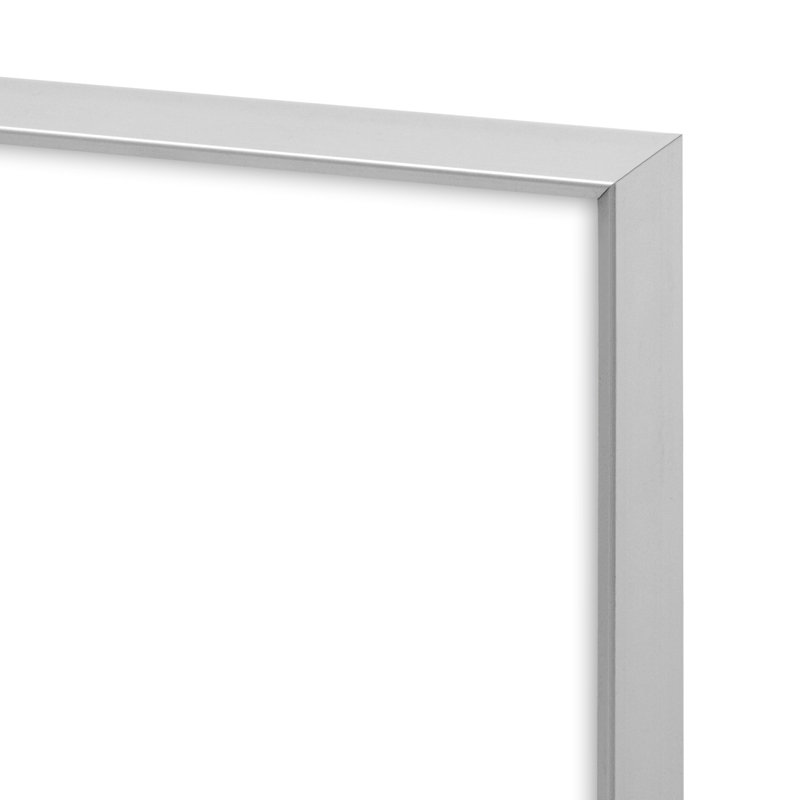 Silver Metal Matte Picture Frame with Mat