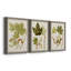 Feuilles antiques IV - ensemble de 3 peintures sur toile encadrées-1306045712-1306045715