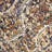 Mirtha Premium EnduraStran Nylon Distressed Rug-1969023177