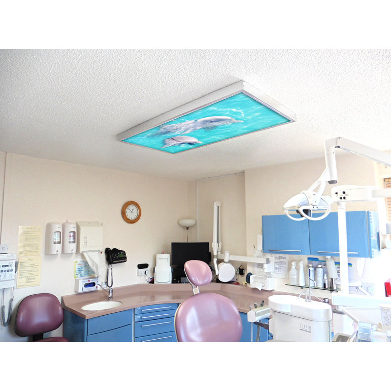 Couvre-lampes fluorescents pour salle de classe Ocean - pour luminaire 2 x 4 - par Octo Lights