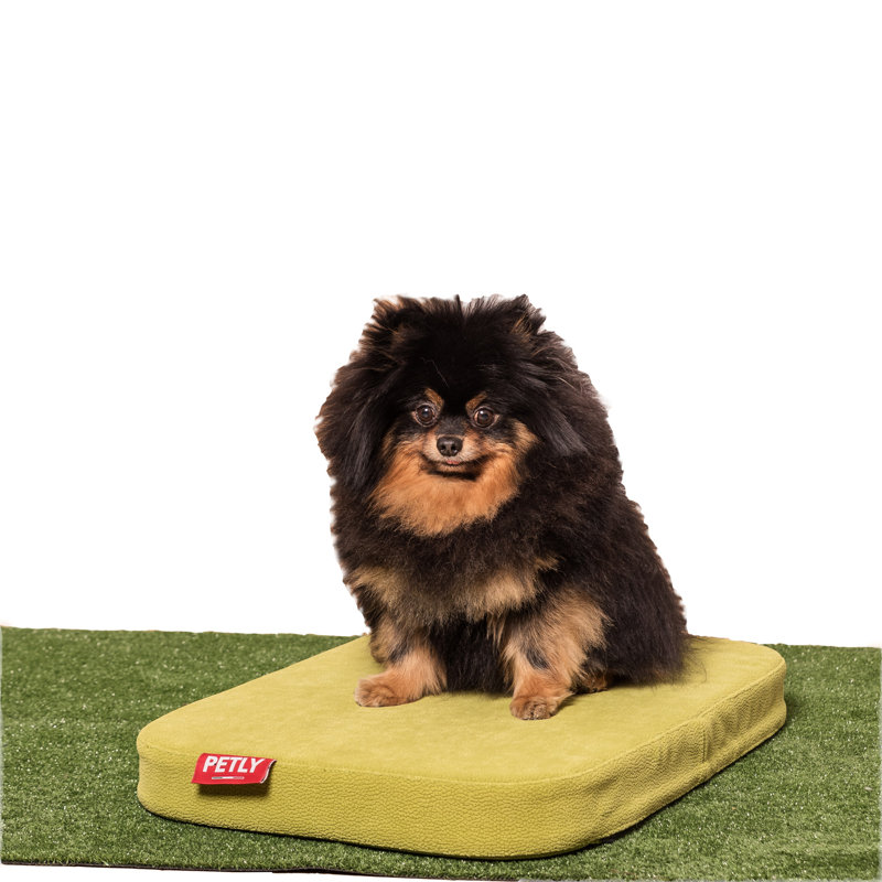 Orthopedic Microfibre Pet Bed, Green, Medium (80cm W x 60cm D)