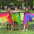 Joyin Nylon Foldable Outdoor Kids Game