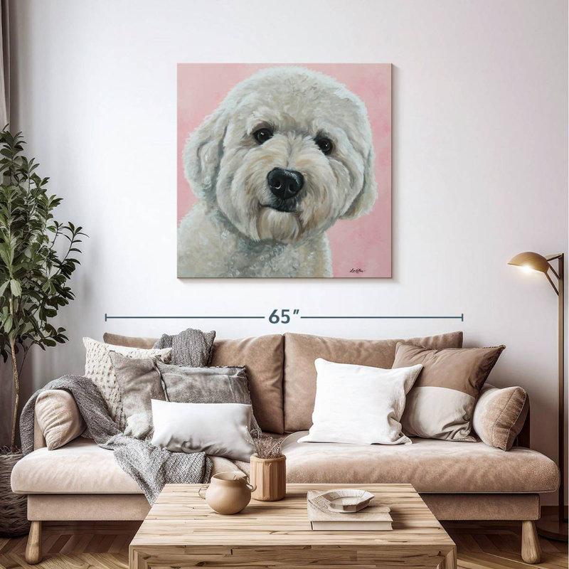 Labradoodle Brampt Hank sur fond rose