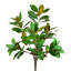 Faux Magnolia Tree in Fiberstone Planter