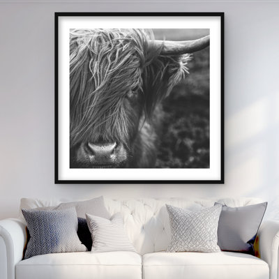 Portrait monochrome de vache des Highlands - impression encadrée avec passe-partout
